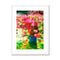 Flowers - Past Framed & Mounted Print