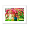 Flowers - Past Framed & Mounted Print