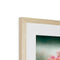 Flowers - Past Framed & Mounted Print