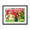 Flowers - Past Framed & Mounted Print