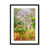 Winter Treescape - Zilker Botanical Garden Austin Framed & Mounted Print