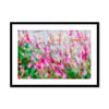 Pretty in Pink 8 Sarlat-la-Canéda France Framed & Mounted Print