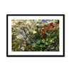 Red Camellias in a Tree of White Blossoms 1 Framed & Mounted Print