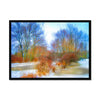 Winter Pond Framed Print
