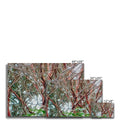 Coral Bark Trees 1 Savannah Winter 2015 Canvas