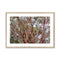 Coral Bark Trees 2 Savannah Winter 2015 Framed & Mounted Print