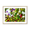 Late Winter Flowers - Monterey Bay Framed & Mounted Print
