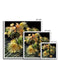 Succulents - Outdoor Still Life Dana Point Framed Print