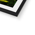 Green Fronds in Field of Wild Mustard Framed & Mounted Print