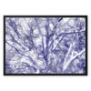 Portrait of a Tree Framed Canvas