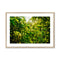 Green Fronds in Field of Wild Mustard Framed & Mounted Print