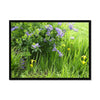 Purple Flowers in a Field of Green and Yellow  2 - Grant Park Chicago Framed Print