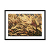 I Sing the Grasses Electric 4 Framed & Mounted Print