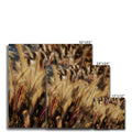 I Sing the Grasses Electric 9 Canvas