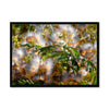Golden Mimosa Tree Framed Print