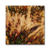 I Sing the Grasses Electric 8 Canvas