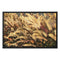 I Sing the Grasses Electric 4 Framed Canvas