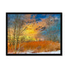 Winter Meadow Framed Print