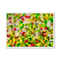 Late Winter Flowers - Monterey Bay 2 Framed Print