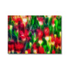 Candle Bloom Flowers 2 Canvas