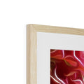 Flower Cups 2 Framed & Mounted Print