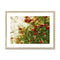 Red Camellias in a Tree of White Blossoms 2 Framed & Mounted Print