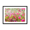Pretty in Pink6 - San Marcos, CA Framed & Mounted Print