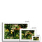 Outdoor Still Life 2 - Dana Point Framed & Mounted Print