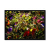 Winter Bouquet - Monterey Bay Framed Print