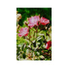 For Luvenia - The Flowers Loved You So  Hahnemuhle Photo Rag Print