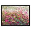 Pretty in Pink 7 Framed Canvas