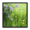 Purple Flowers in a Field of Green and Yellow- Grant Park Chicago Framed Print