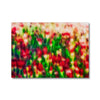Candle Bloom Flowers 1 Canvas