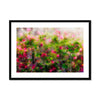 Pretty in Pink 20 - San Marcos, CA Framed & Mounted Print