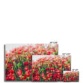 Flower Mounds 1 Canvas