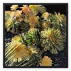 Succulents - Outdoor Still Life Dana Point Framed Canvas