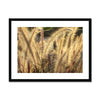 I Sing the Grasses Electric 1 Framed & Mounted Print