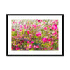 Pretty in Pink  9 - San Marcos, CA Framed & Mounted Print