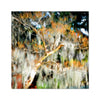 Live Oaks in the Garden of Good and Evil Hahnemuhle Photo Rag Print