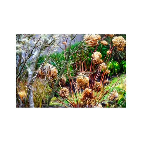 Willakenzie Willamette Valley Winter Garden 2016 - 2 Hahnemühle Photo Rag Print