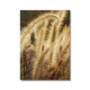 I Sing the Grasses Electric 3 Canvas