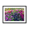 The Colors of Laguna Framed & Mounted Print