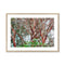 Coral Bark Trees 1 Savannah Winter 2015 Framed & Mounted Print