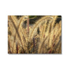 I Sing the Grasses Electric 1 Canvas