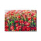 Flower Mounds 1 Canvas