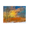 Winter Meadow Hahnemuhle Photo Rag Print