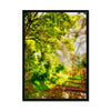 Sonoma Spring Forest Vineyard Framed Print
