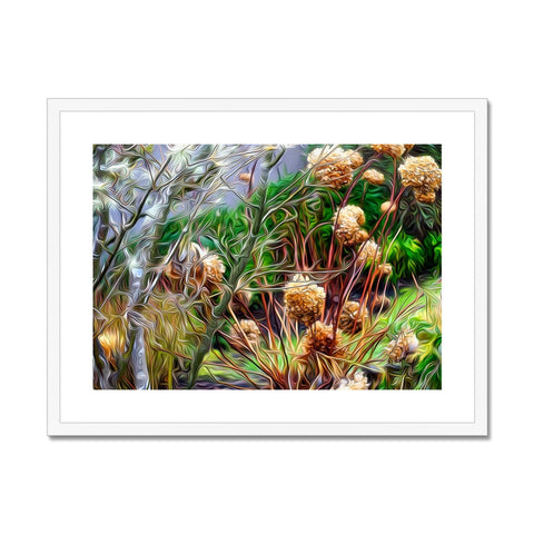 Willakenzie Willamette Valley Winter Garden 2016 - 2 Framed & Mounted Print
