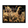 I Sing the Grasses Electric 6 Framed Print