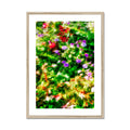 The Gardens of Giverny Framed & Mounted Print